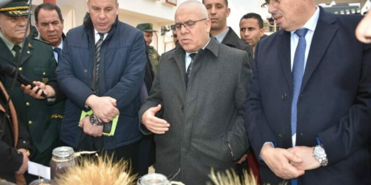 شرفة: دعم الدولة للفلاحة متواصل