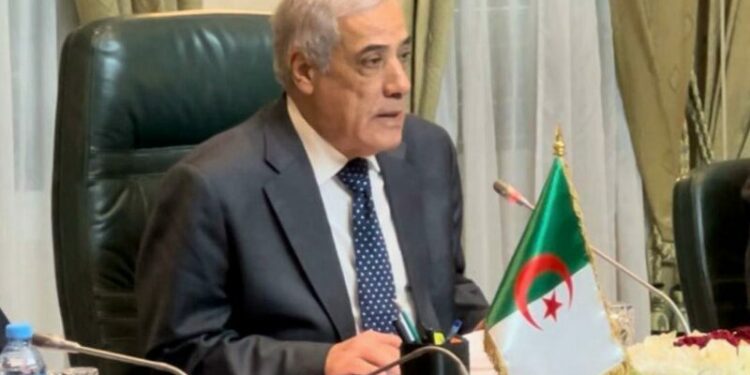 الوزير الأول يدشن مركز انتاج الغاز حاسي باحمو