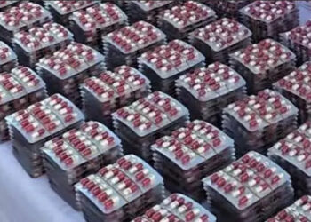 حجز 5700 قرص مهلوس بالبليدة
