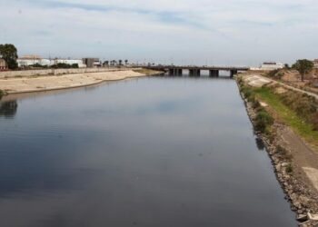 دحلب تبرز ضرورة اتخاذ اجراءات فعالة لحماية المناطق الرطبة
