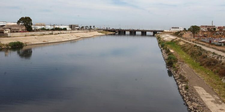 دحلب تبرز ضرورة اتخاذ اجراءات فعالة لحماية المناطق الرطبة