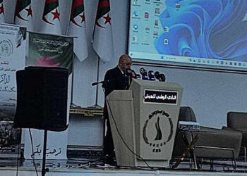 ربيقة يدعو المؤرخين لكتابة التاريخ برؤية متبصرة