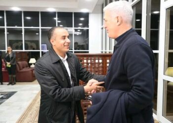 فلاديمير بيتكوفيتش في الجزائر