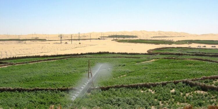 الرئيس تبون يؤكد ضرورة إيلاء أهمية كبرى للإحصاء العام للفلاحة