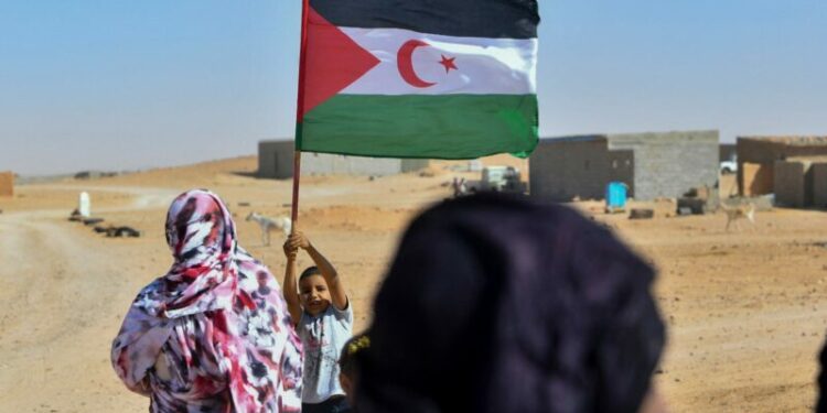 جنوب افريقيا تطالب بإنهاء الاستعمار من الصحراء الغربية