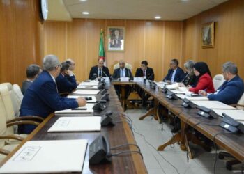 تنصيب المجموعة البرلمانية للصداقة الجزائر–بوتسوانا