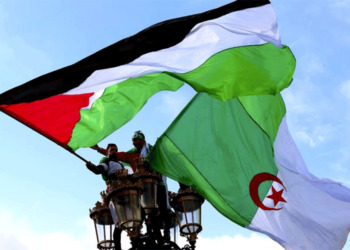 هكذا تحرّكت الدبلوماسية الجزائرية في مجلس الأمن