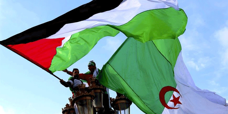 هكذا تحرّكت الدبلوماسية الجزائرية في مجلس الأمن