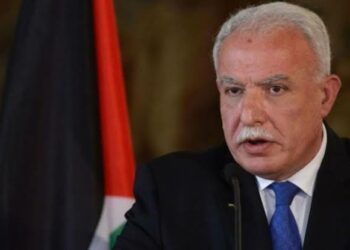 الجامعة العربية.. فلسطين تشيد بجهود الجزائر لإيقاف العدوان الصهيوني