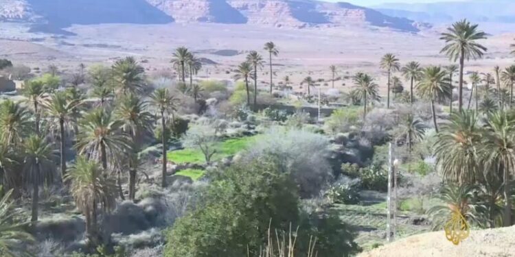 جولة في واحة الصائمين ببوسعادة