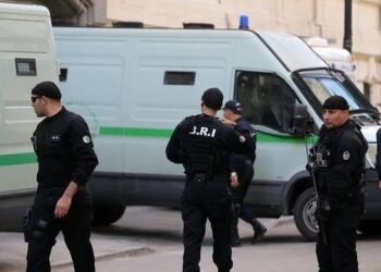 بالأرقام.. حصيلة الأمن الوطني في 2023