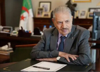 قوجيل: يوم العلم تجديد دعوة لنشر العلم والمعرفة