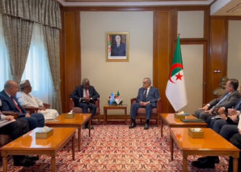 الوزير الأول يستقبل المدير العام لمنظمة العمل الدولية