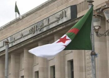 تعميم الدفع الآني والدفع المؤجل بالبنوك والمؤسسات المالية