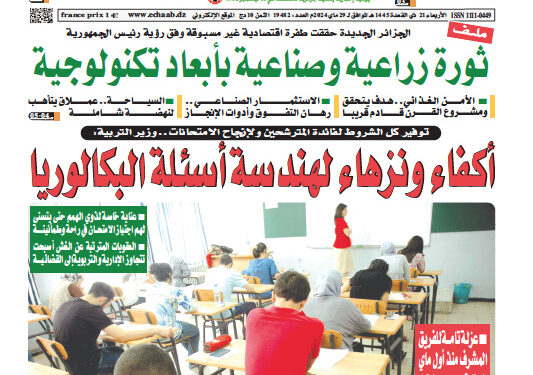 العدد 19482