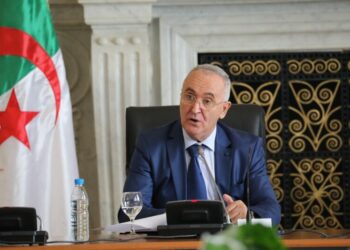دور ريادي للخزينة العمومية بفضل توجيهات رئيس الجمهورية