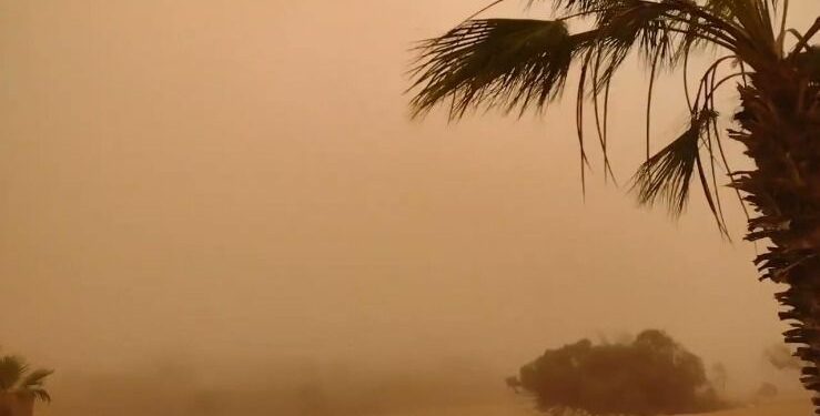 أمطار رعدية جنوبي الجزائر