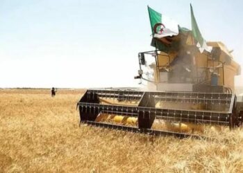 الاحصاء العام للفلاحة.. عملية مهمة في مسار تحقيق الأمن الغذائي