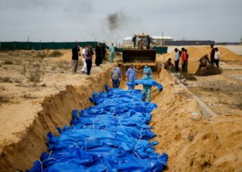 الجزائر تنتصر لغزة مرة أخرى