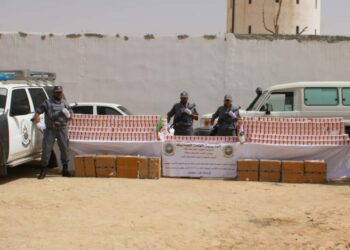 إحباط عملية تهريب 300 ألف كبسولة من المؤثرات العقلية بتوقرت