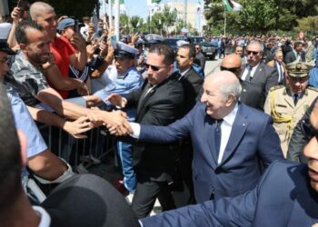 البرامج التكميلية للولايات.. الرئيس تبون يوفي بالالتزامات ويوفر أدوات التنمية الشاملة