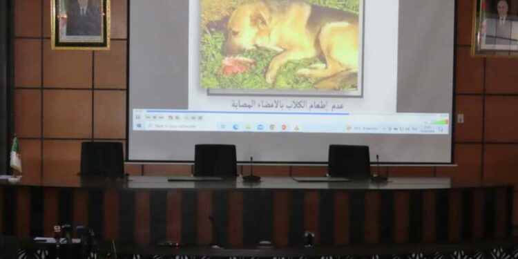يوم تحسيسي حول الوقاية من الكيس المائي