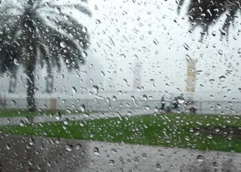 أمطار ورياح بهذه الولايات