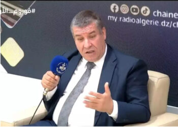 الاستثمار في الجنوب سيسمح بخلق أقطاب صناعية