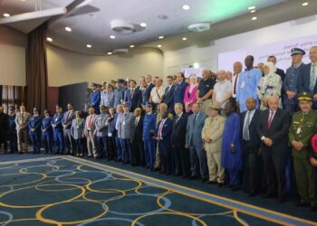 إجماع على تبني رؤية الرئيس تبون في تسوية النزاعات الإفريقية
