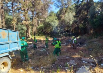عمليات واسعة لتنظيف وتزيين الفضاءات الغابية بالعاصمة