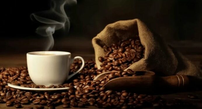 تاريخ مثير للقهوة والمقاهي عند العرب والجزائريين