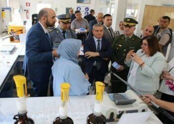 29 ألف مربي بيئي لتنشيط 12 ألف نادي أخضر