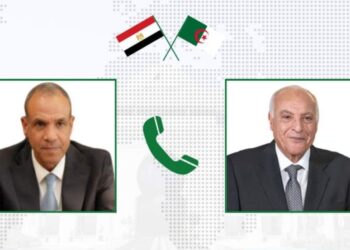 تعزيز العلاقات الجزائرية-المصرية محور محادثات عطاف وعبد العاطي