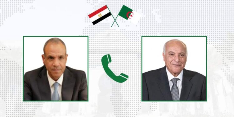 تعزيز العلاقات الجزائرية-المصرية محور محادثات عطاف وعبد العاطي