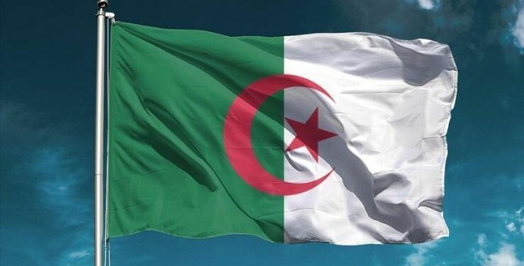 الشباب والجالية الوطنية.. رهانا الجزائر الجديدة