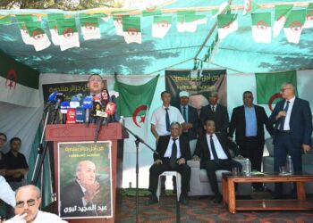 مراد: تطوير الفلاحة أولوية في برنامج المترشح الحر عبد المجيد تبون