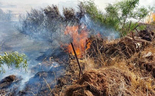 إخماد حرائق الغطاء النباتي بـ 7 ولايات