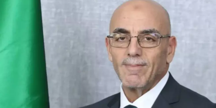 حساني شريف: التوجه بقوة نحو صناديق الاقتراع رسالة إلى العالم بأن الجزائر قوية ومحمية