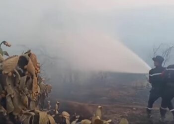 إخماد العديد من الحرائق بولاية تيزي وزو
