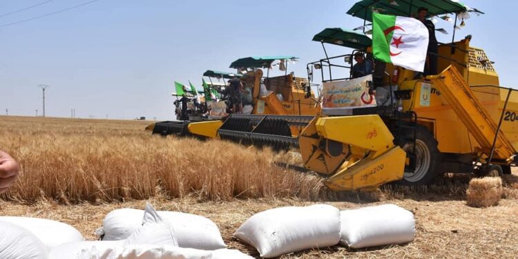 تسهيلات جديدة للفلاحين والمتعاملين الاقتصاديين