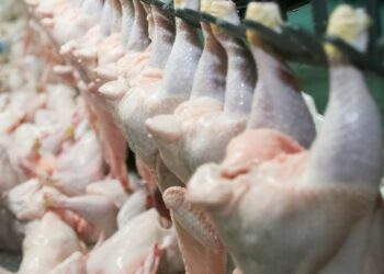 تسويق اللحوم البيضاء بـ 295 دينار للكيلوغرام ابتداء من الغد