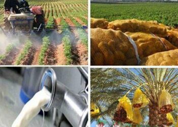 الإحصاء العام للفلاحة يسجل أكثر من 230 ألف مستثمرة جديدة