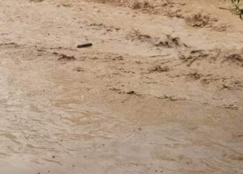 تقلبات جوية.. 3 وفيات في بئر العاتر بتبسة