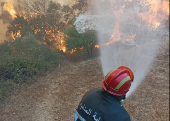 إخماد حرائق في هذه الولايات