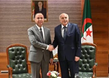 الوزير الليبي المكلف بتسيير أعمال الخارجية يشكر الجزائر