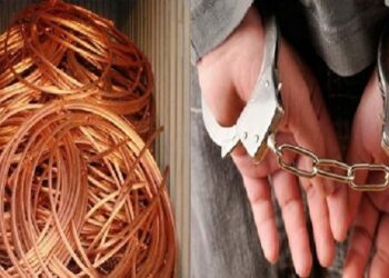 تفكيك شبكة إجرامية تسرق الكوابل النحاسية بتيارت