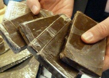 حجز 14 كلغ من الكيف المعالج بغليزان