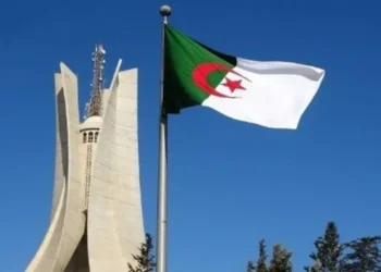 خبير: الجزائر تسير على الطريق الصحيح بنخبة شابة
