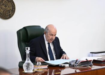 توجيهات رئيس الجمهورية ستسمح بتفادي الندرة في السوق الوطنية