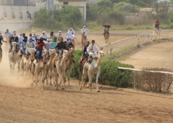 الطبعة الثالثة لمهرجان الخيل الجزائري في أجواء رائعة